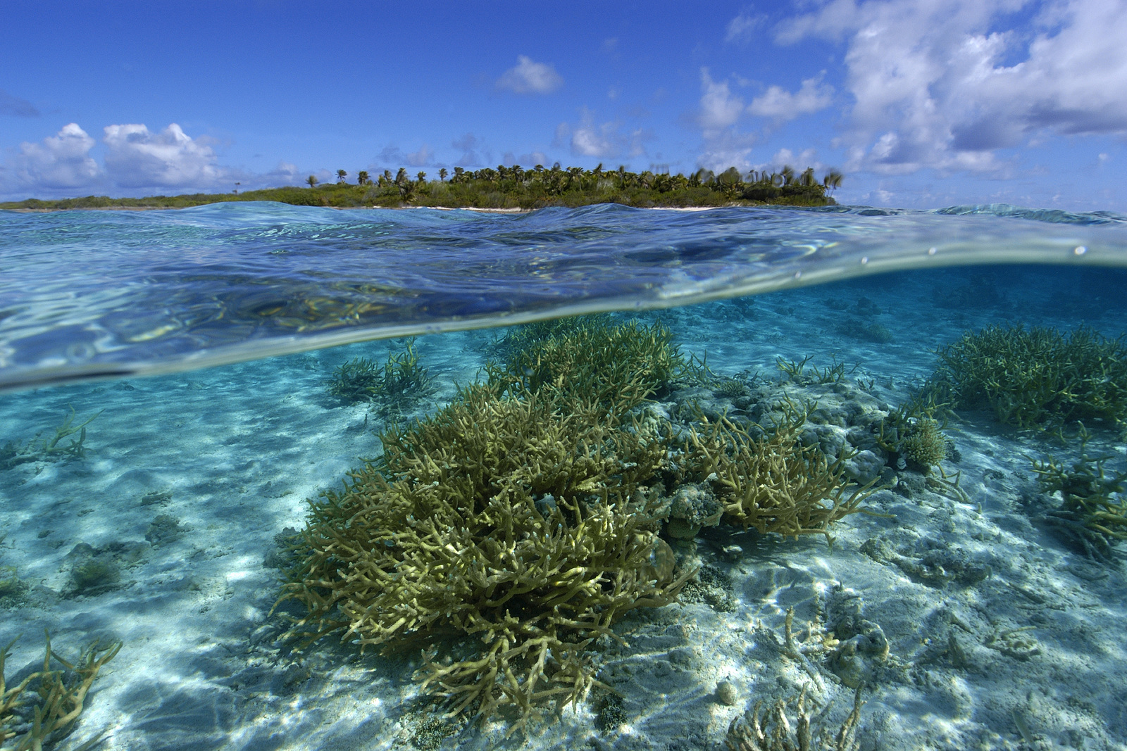 Oceanic Climate Features