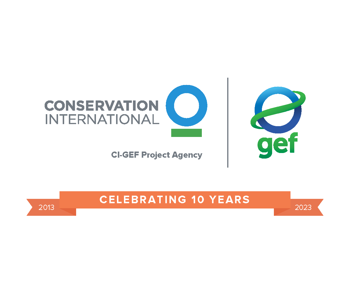 10Years_CIGEF_GEF_Lockup-2023_Page_2