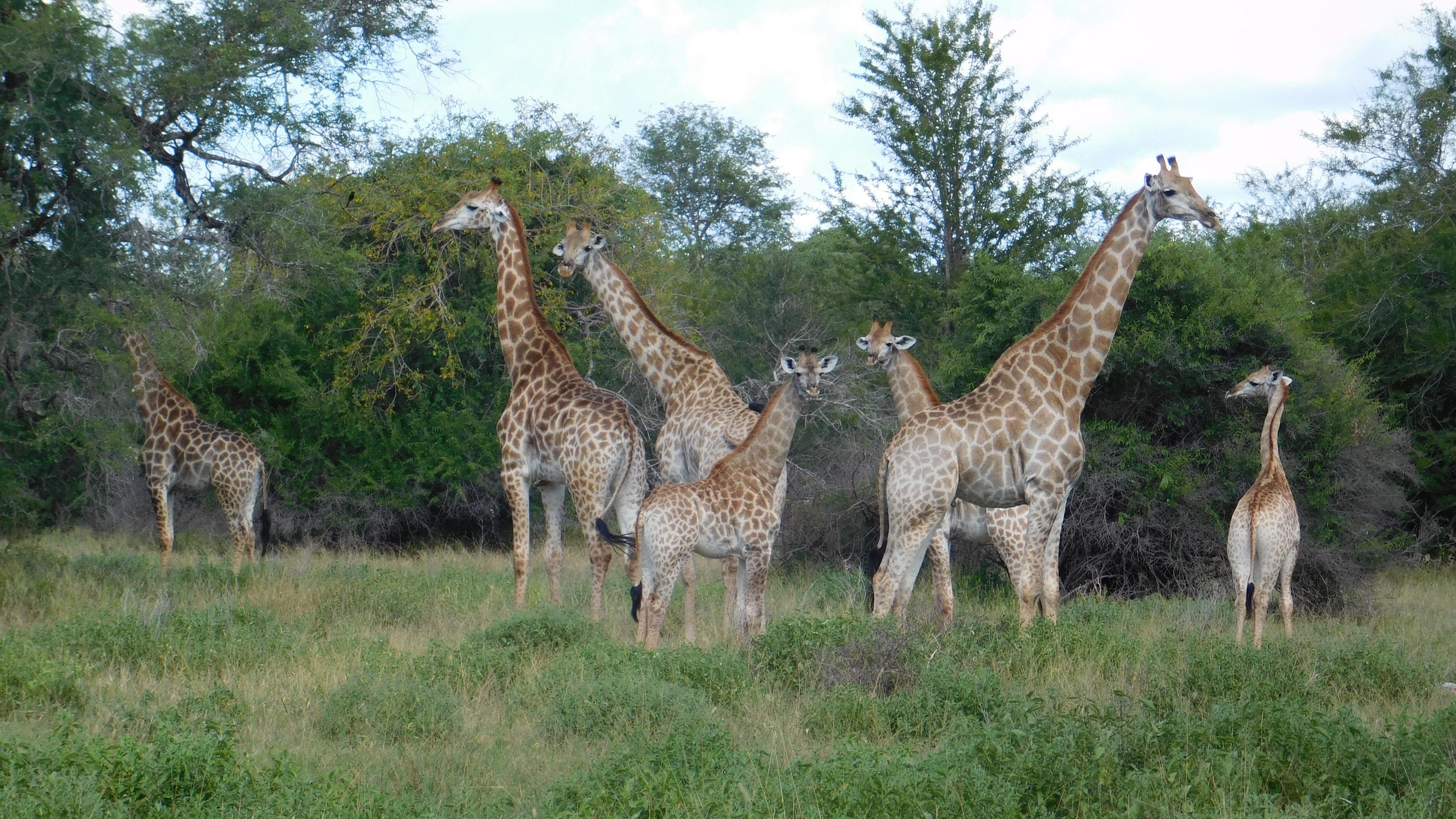 Zinave National Park, Photo Credit Tabby Njunge